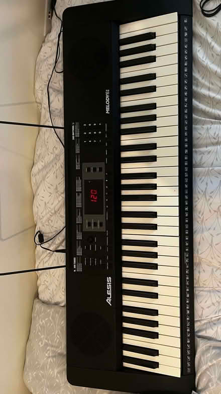 Photo of free Alesis Keyboard (Hornsey N8) #2