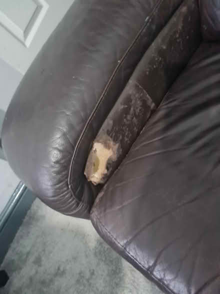 Photo of free sofa (B2o) #3