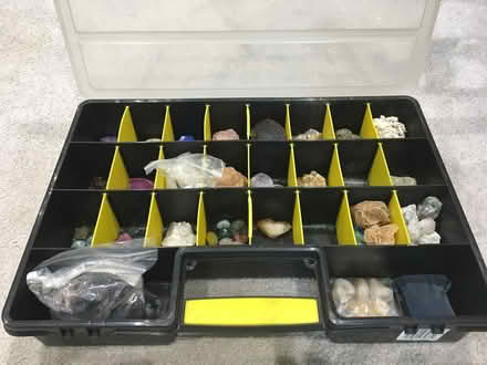 Photo of free Rock & fossil collection (Chelmer Village CM2) #2