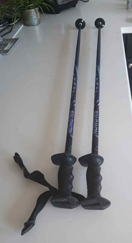 Photo of free Ski's (Lammack BB1) #3