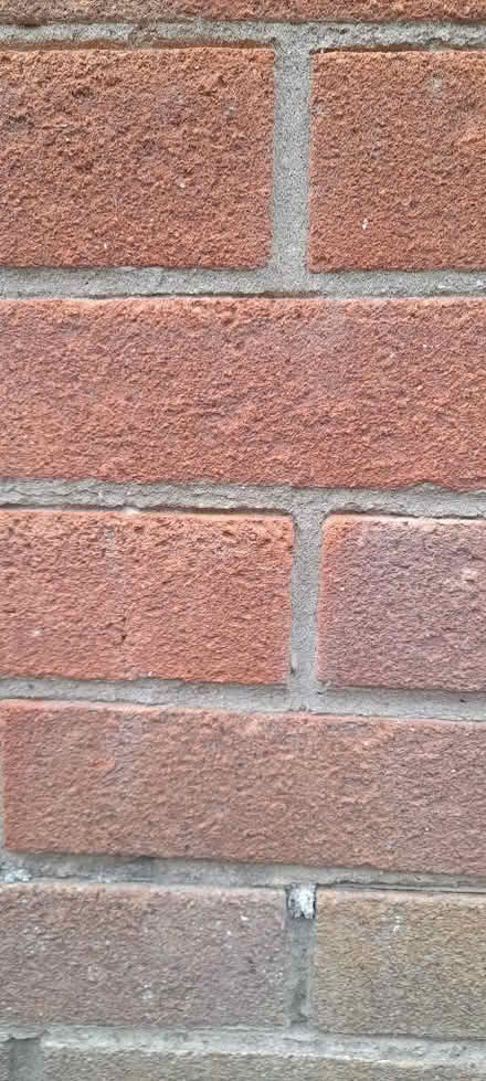 Photo of House facing bricks (Abraham Heights LA1) #2