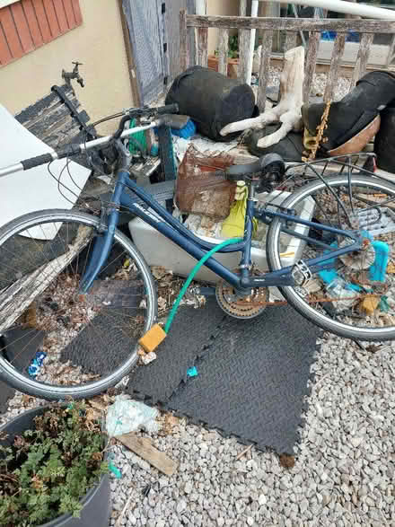 Photo of free Adult bicycles (Penmaen Rhos LL29) #2