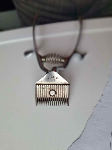 Photo of free clippers (Chertsey KT16) #3