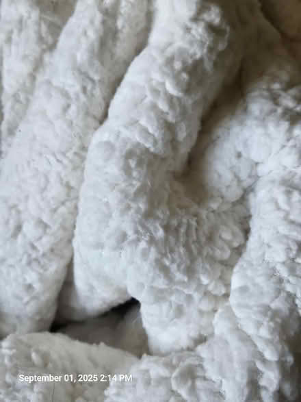 Photo of free Bedspread (Howell, MI) #1