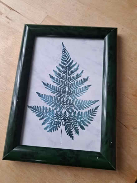 Photo of free Framed print featuring a fern leaf (Montpelier BS6) #1