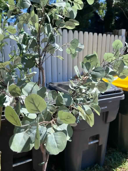 Photo of free 2 artificial plants/trees (Chesapeake Beach, MD) #3