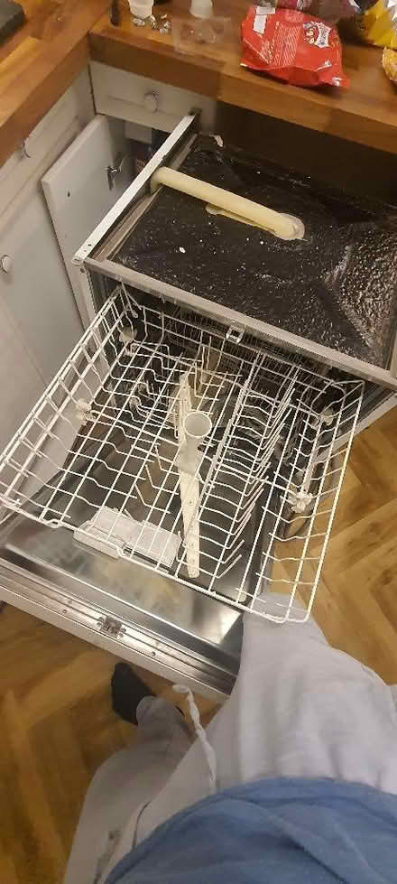Photo of free Dishwasher (Rotherhithe SE16) #4
