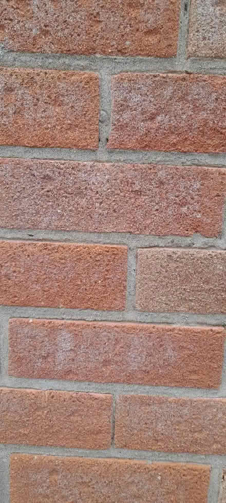 Photo of House facing bricks (Abraham Heights LA1) #1