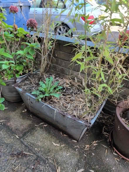 Photo of free 2 metal planters with bamboo (East Finchley N2) #3