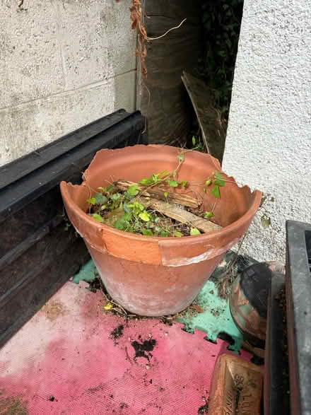 Photo of free Old Large plant pot (Marston OX3 0) #1
