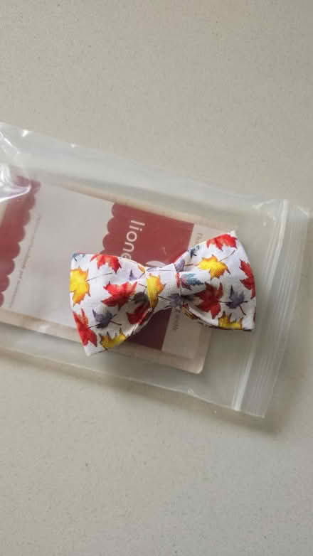 Photo of free Dog/cat collar with bow (Streetly B74) #3