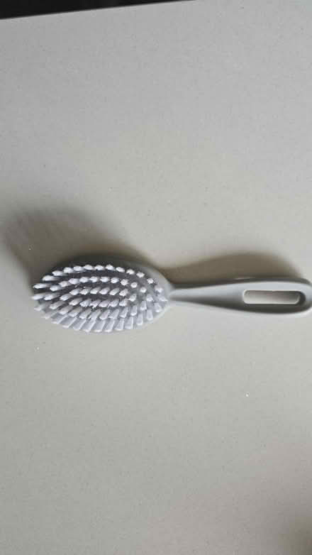 Photo of free Kitten brush (Streetly B74) #1