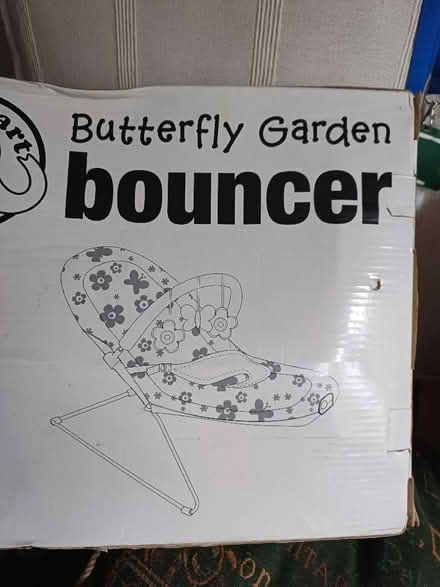Photo of free Baby Bouncer (Mile Cross NR3) #2