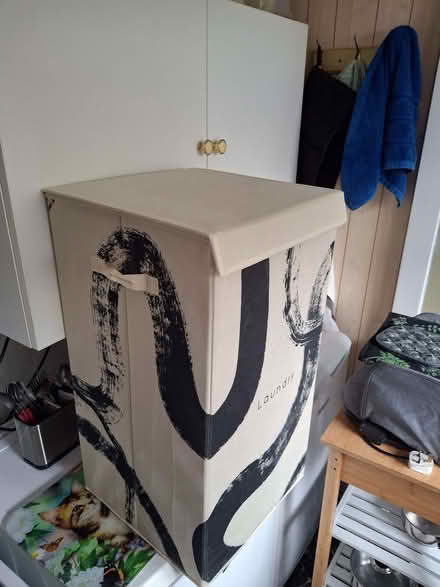 Photo of free laundry bin (Chertsey KT16) #3