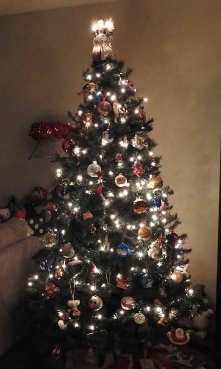 Photo of free Chirstmas Tree (Mavis and Rathburn) #1