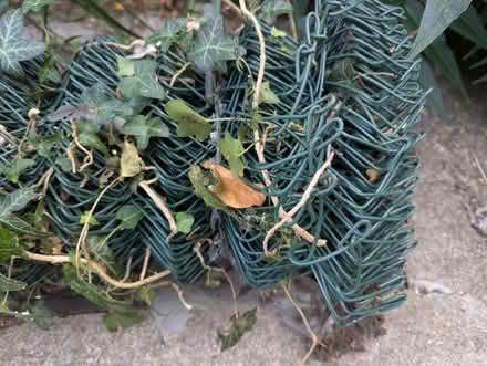 Photo of free Roll of chain link fencing (Hitchin, SG5) #2