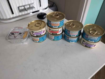 Photo of free Cat foos (Springfield CM1) #1