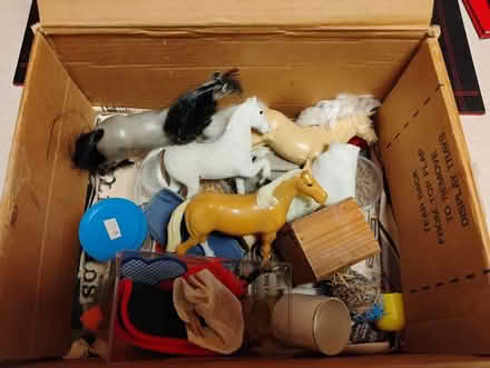 Photo of free toy horses, ponies & accessories (chesterton CB4) #1