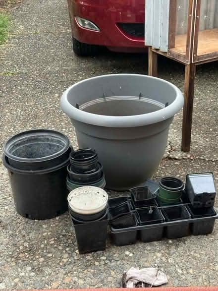 Photo of free Pots (NE Seattle) #1