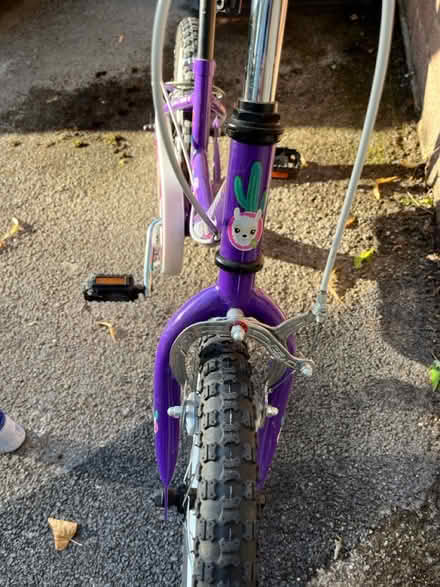 Photo of free Girls Bike - 16” wheels (RG1) #3