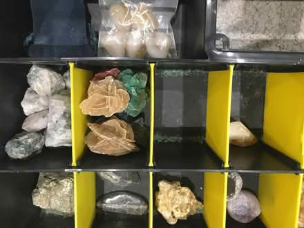 Photo of free Rock & fossil collection (Chelmer Village CM2) #4