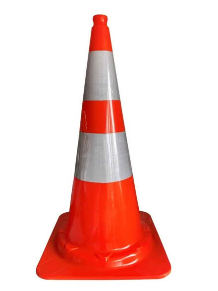 Photo of Cones of all shapes and sizes (PO7 5GE) #3