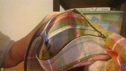Photo of free Dog duvet #2 (BA2) #1