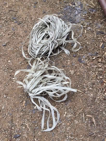 Photo of free Electric fence wire (Farley Heath GU5 9EW) #1