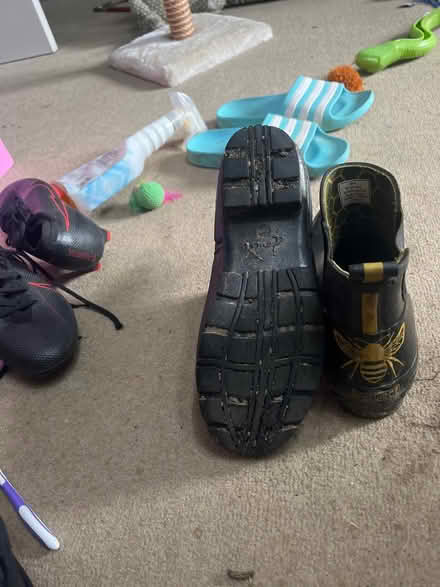 Photo of free Joules wellibobs uk6 (RG2 Shinfield) #2