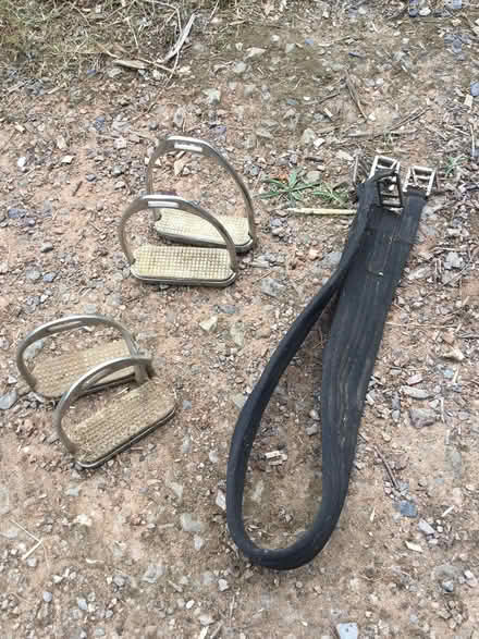 Photo of free Stirrups and girth (Farley Heath GU5 9EW) #1