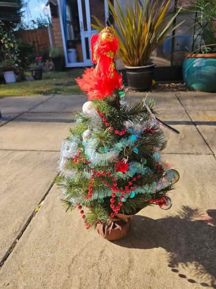 Photo of free 12 inch Xmas tree (Boulton Moor DE24) #1