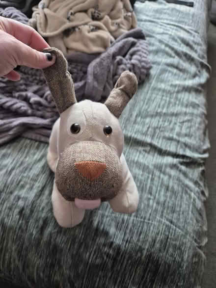 Photo of free Door stop (Horsham RH12) #1