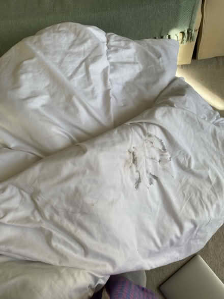 Photo of free Double duvet (Sefton Park, L8) #2