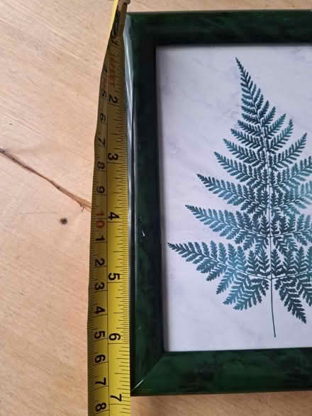 Photo of free Framed print featuring a fern leaf (Montpelier BS6) #3