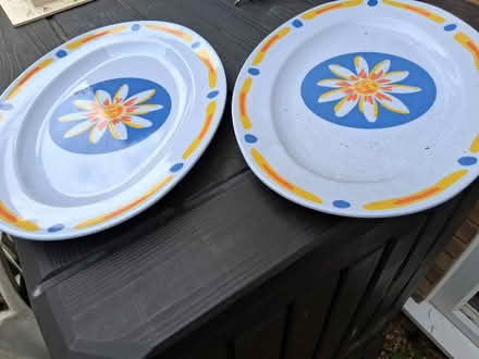 Photo of free 2 large melaware platters (Sprowston NR7) #1