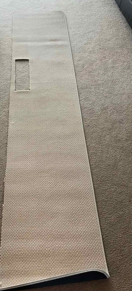 Photo of free Scrap carpet, over door hooks (Manet/Crescent) #3