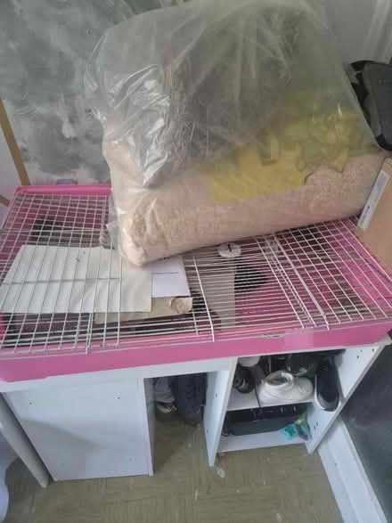 Photo of free Guinea pig cage (Shirley CR0) #1