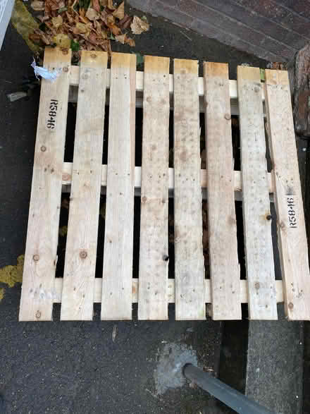Photo of free Pallet (Cheltenham GL52) #1