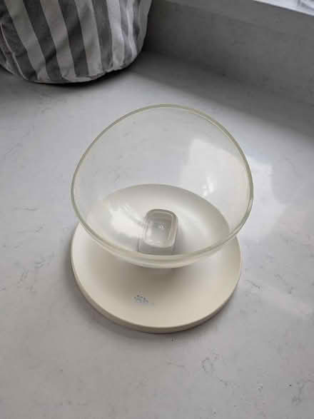 Photo of free Elevated cat bowl (Springfield CM1) #1