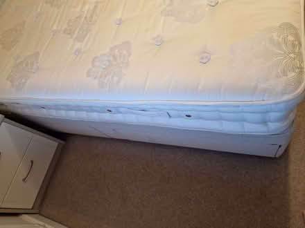 Photo of free Super King sized divan bed and mattress (Enborne Row RG14) #4