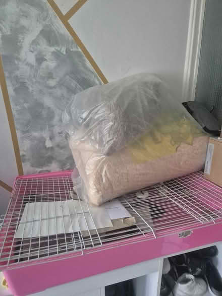 Photo of free Guinea pig cage (Shirley CR0) #2
