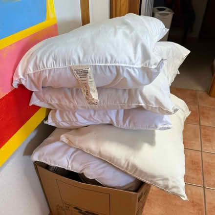 Photo of free 5 pillows, cleaned (Rio Rancho) #1
