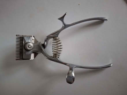 Photo of free clippers (Chertsey KT16) #1