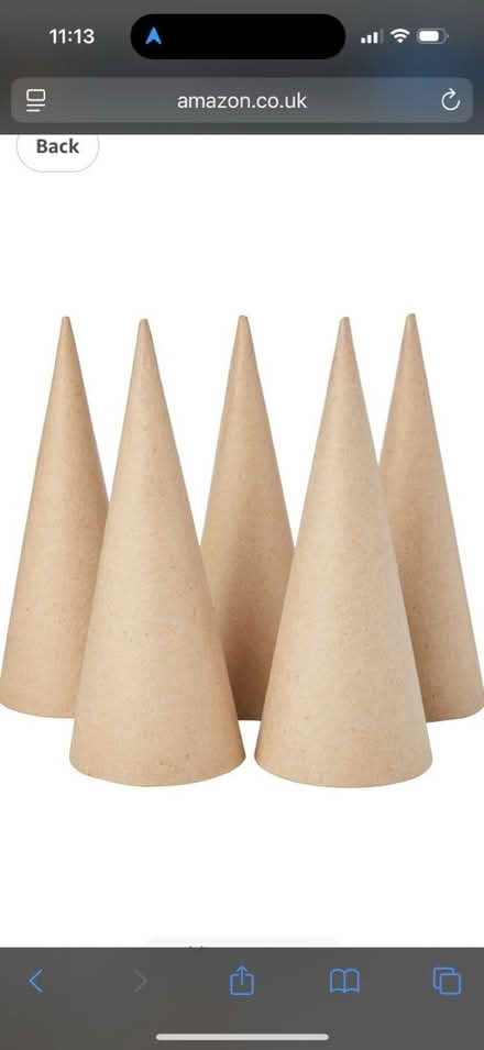 Photo of Cones of all shapes and sizes (PO7 5GE) #1