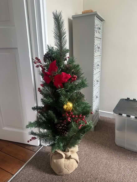 Photo of free Small Christmas tree (GU14) #2