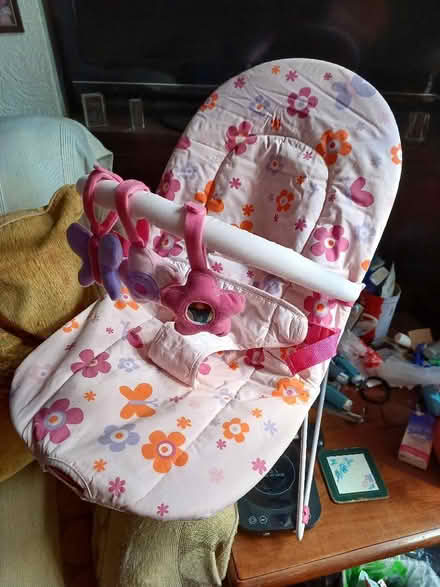 Photo of free Baby Bouncer (Mile Cross NR3) #1