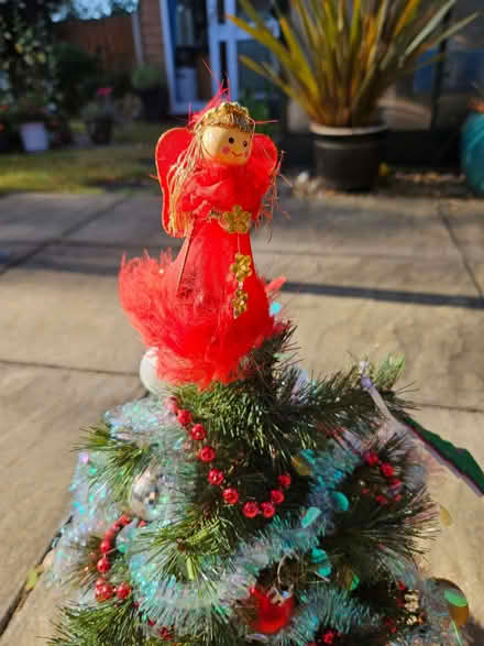 Photo of free 12 inch Xmas tree (Boulton Moor DE24) #2
