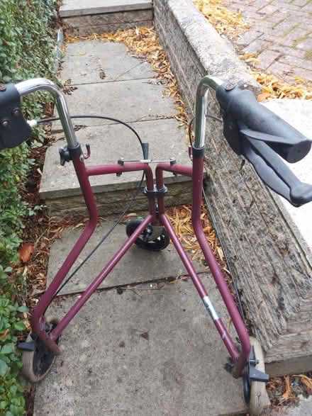 Photo of free Walker (harborne) #1