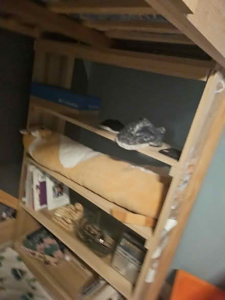 Photo of free Twin wooden loft bed - no mattress (Chatsworth) #4