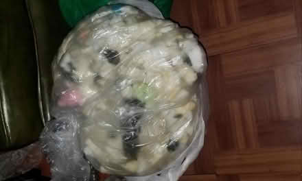 Photo of free cut sponge for craft (Fordham Rd Bronx.) #1